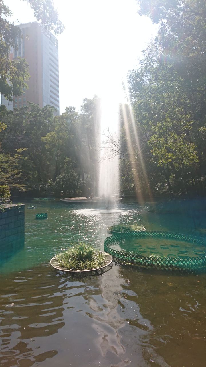 Kowloon Park 8