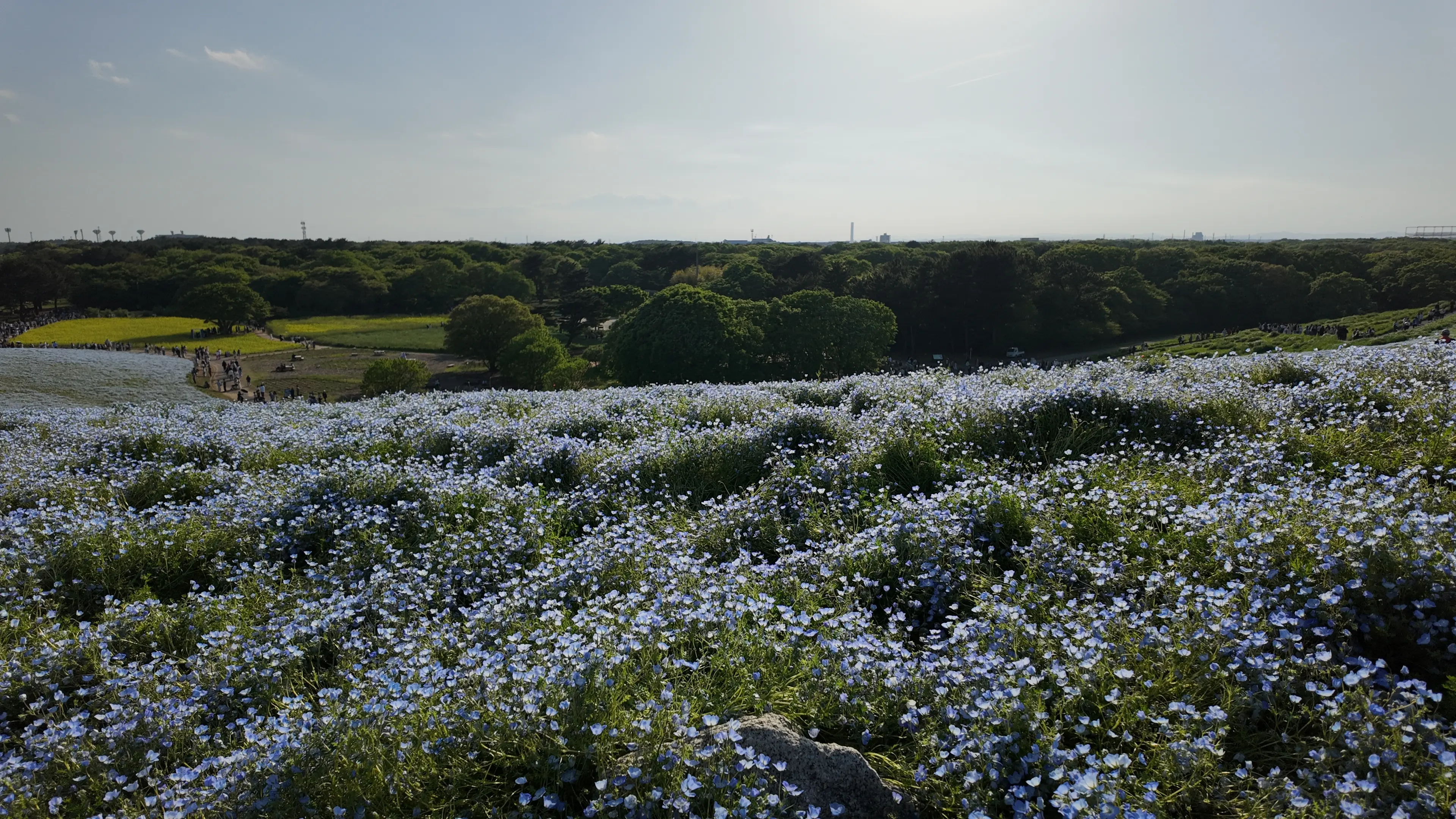 hitachi-park